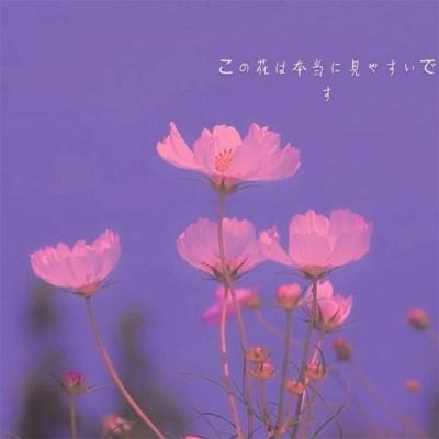 逍遥游九游版(暂未上线)v1.0.60 安卓官方版